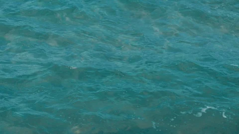 Sea water waves 4k Video stock 88752492