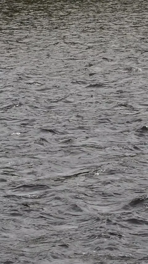 Sea water waves Stock Footage 256598333
