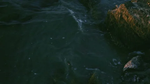 Sea wave on the beach, close-up view, golden, 4K, 3840x2160 Stock Footage 90981677