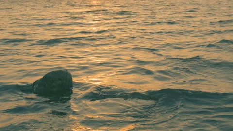 Sea wave on the beach, close-up view, golden, 4K, 3840x2160 Stock Footage 90986803