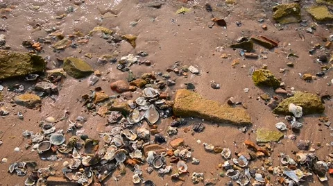 Sea wave at beach Stock Footage 46660685