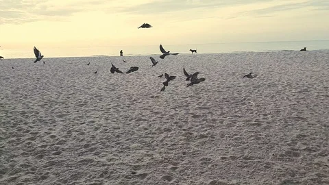 Sea Wave on the beach Stock Footage 117458474