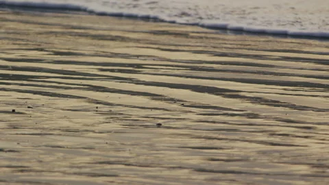 Sea wave on beach at sunset, North Devon, Devon, UK Stock Footage 149753932