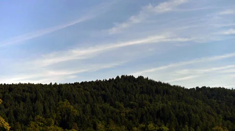 Sea-wave-like cirrus clouds above emerald green forest Video stock 39354860