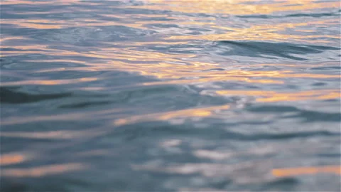Sea Wave Close Up, Low Angle View, Sunrise Or Sunset Shot Stock Footage 217948809