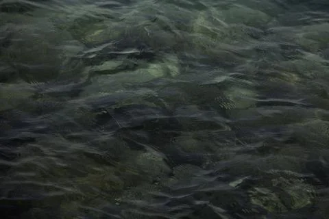 Sea wave close up, low angle view Stock Photos