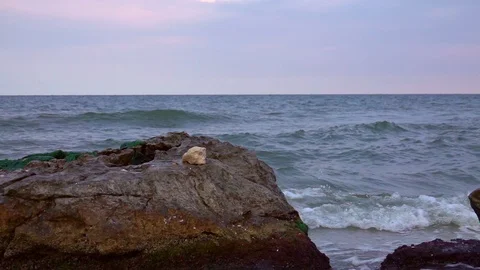 Sea wave crashing Stock Footage 95080050