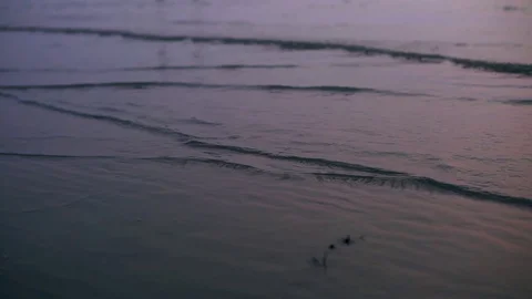 Sea wave during the sunset. Stock Footage 128027026