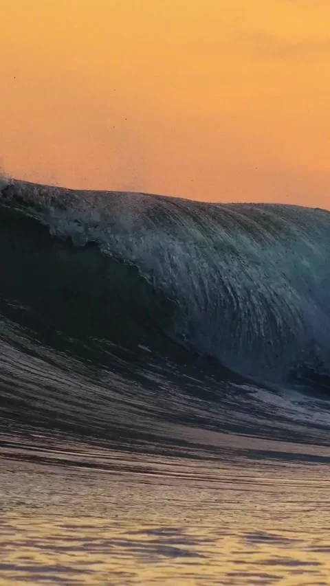 Sea wave during sunset at Indian Ocean.Vertial video Stock Footage 295772807