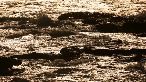 Sea wave in the evening sunset Stock Footage 112585756