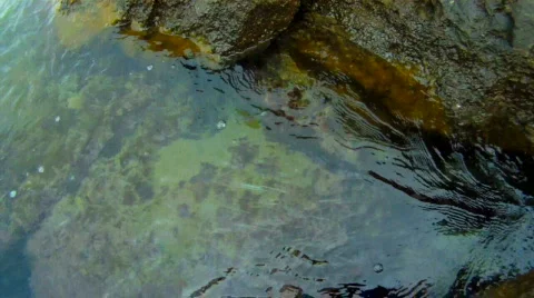 Sea wave Stock Footage 834820