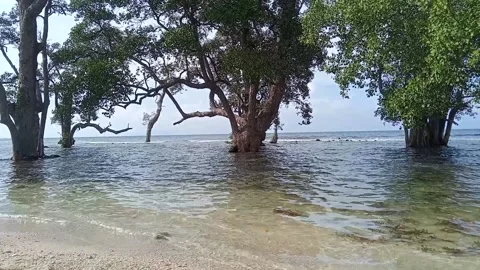 Sea ​​wave Stock Footage 231036130