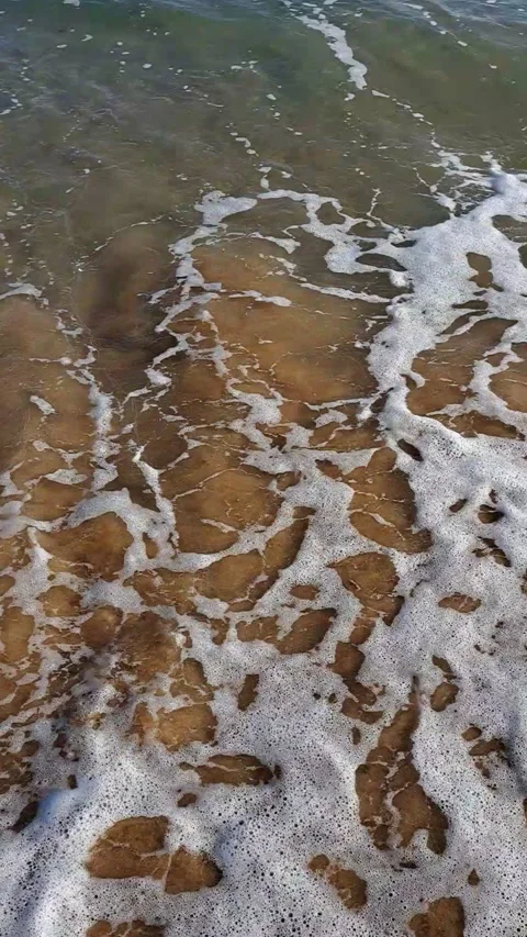 Sea Wave Stock Footage 339747883