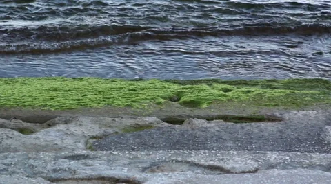 Sea wave impinges on an old stony Stock Footage 42591024