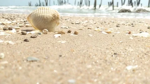 Sea Wave Rolling onto Sandy Shore Stock Footage 254939500