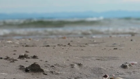 Sea Wave On The Sand Beach Close-Up Stock Footage 117412865
