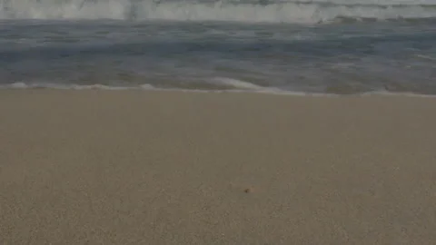 Sea wave on a sandy beach. Background. Stock Footage 86045480