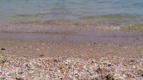 Sea wave on sandy beach Stock Footage 104001752