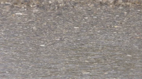 Sea wave on sandy beach Stock Footage 126315159