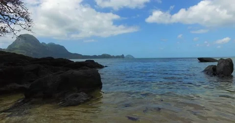 Sea wave on a sandy beach a summer day Stock Footage 61237332