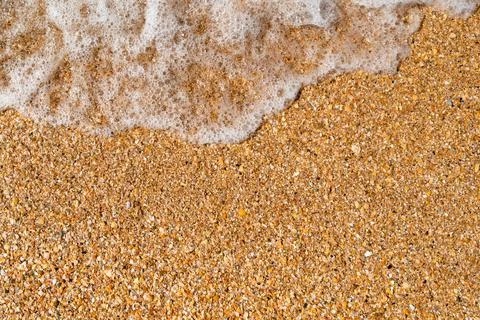 Sea wave on a seashell beach. Stock Photos