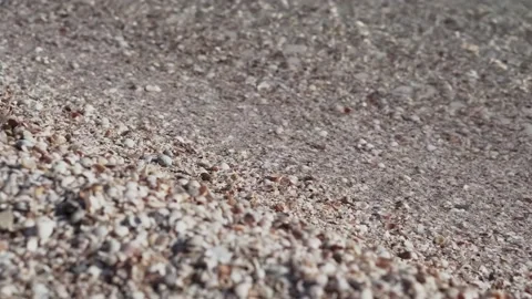 Sea wave washes the seashells. Beautiful morning ocean surf with shells. Stock Footage 164843588