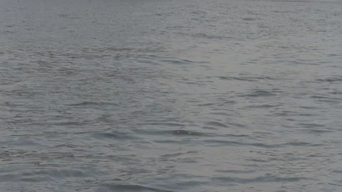 Sea Waves 4k 60fps s-log3 10bit Footage Vidéo 196182985