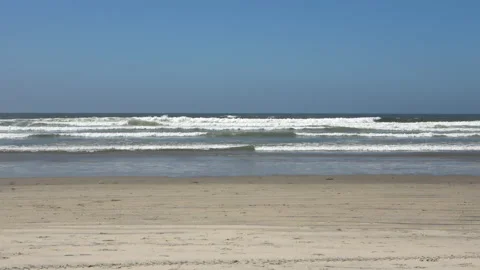 Sea waves and on beach flying birds Stock Footage 172567367
