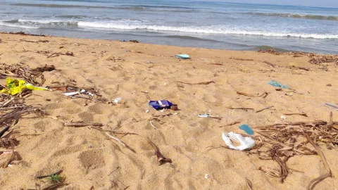 Sea waves and garbage on the beach. Stock Footage 223442436