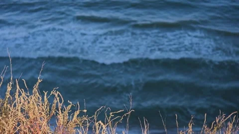 Sea waves and Grass on the edge of a sandy sea cliff. Kurortnoe. Ukraine. Stock Footage 266745367