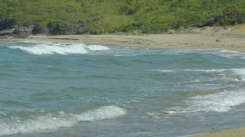 Sea waves and green trees area Stock Footage 140511882