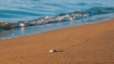Sea waves and seashells. slow motion Stock Footage 125222932