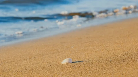 Sea waves and seashells. slow motion Stock Footage 125231216