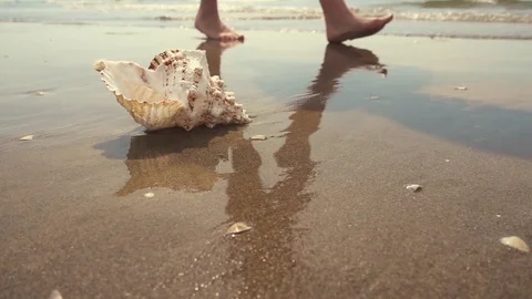 Sea waves and shell on the beach Vídeos de archivo 72251714