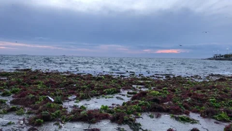 Sea waves and storm Stock Footage 144848498