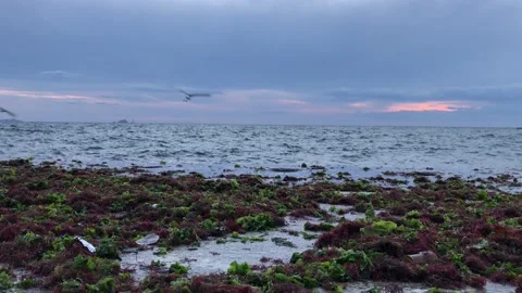 Sea waves and storm Stock Footage 144850366