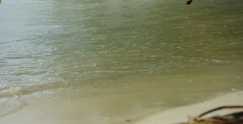 Sea waves approaching the coast Stock Footage 85758364