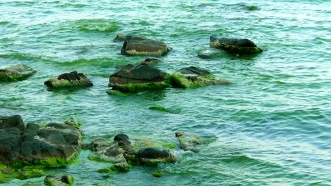 Sea waves are beating against stones Stock Footage 105261356