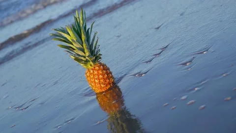 Sea waves bathe pineapples on the sand Video stock 153242583