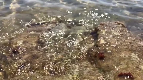 Sea ​​waves beach Stock Footage 81208600