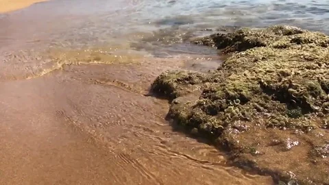 Sea ​​waves beach Stock Footage 81208637