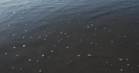 Sea waves on the beach Video stock 143639788