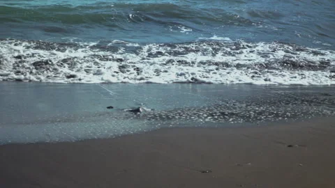 Sea waves on the beach Stock Footage 145812604