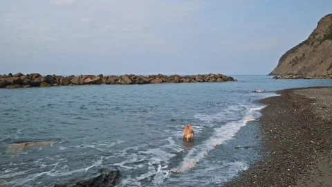 Sea waves beach mountain Stock-Footage 274035245