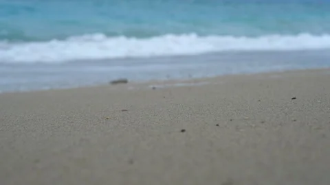 Sea waves on the beach. Summer concept Video stock 271501528