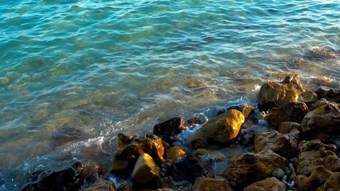 Sea waves on the beach at sunset Stock Footage 80593282