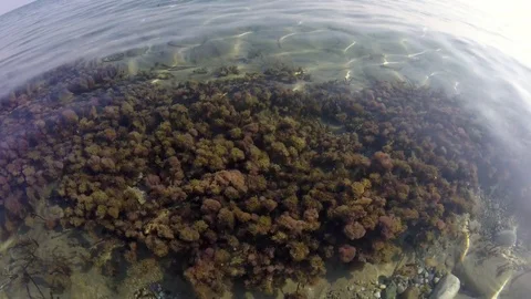 Sea waves on the beach at sunset Video stock 80593295