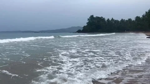 Sea Waves Beach Trees Palawan Philippines Stockbeeldmateriaal 332633608