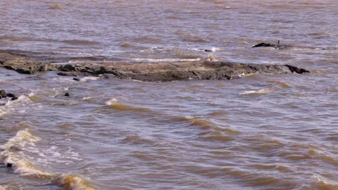 Sea waves beating against the dark rocks on the coastline Stock Footage 214037964