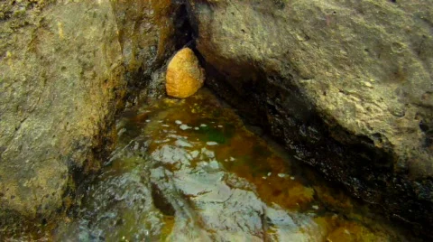 Sea waves beating on the rock Video stock 834841